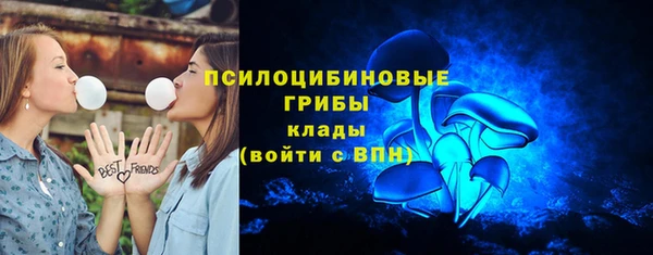 PSILOCYBIN Абдулино