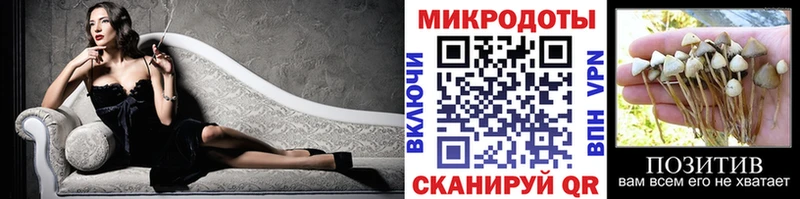 что такое наркотик  kraken   Псилоцибиновые грибы Cubensis  Зеленогорск 